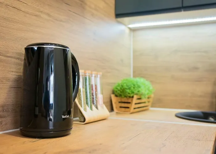 Luna Deluxe Center & Free Parking شقة سراييفو